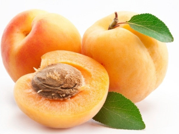 Apricot